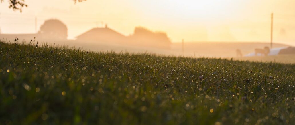 Familienurlaub Misdroy in Polen